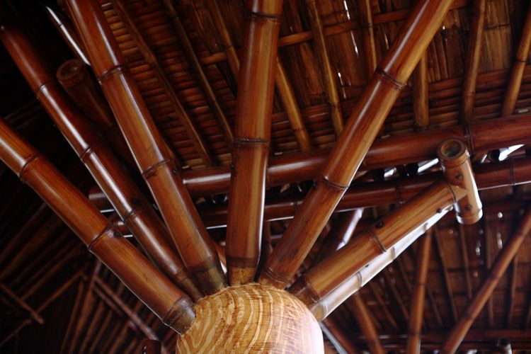 Atap gedung dibangun dari struktur bambu utuh yang menjulang. Pada bagian ujung atasnya terdapat kolom beton di mana bambu-bambu lain dengan ukuran lebih kecil menopang struktur atap. 
