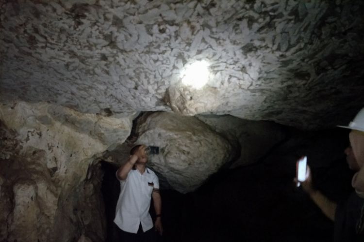 Fosil kura-kura di dinding Gua Cermin, Labuan Bajo, Nusa Tenggara Timur.