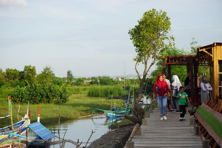 Pengunjung kampung blekok banyak datang saat sore hari untuk melihat burung air yang pulang ke sangkar di hutan mangrove