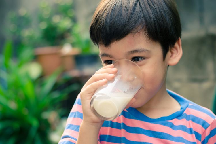 Ilustrasi anak minum susu