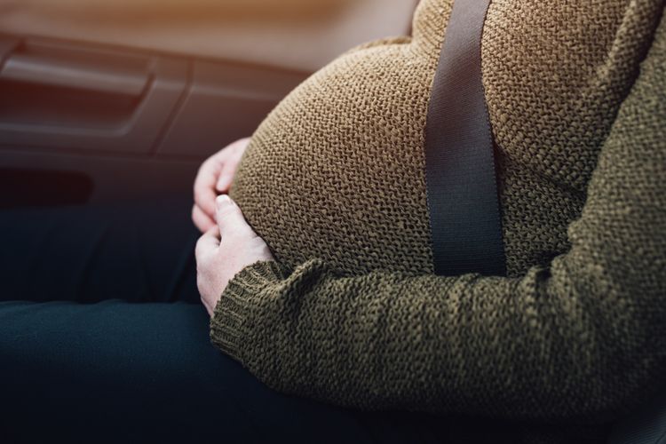 Ilustrasi ibu hamil mudik dengan mobil.