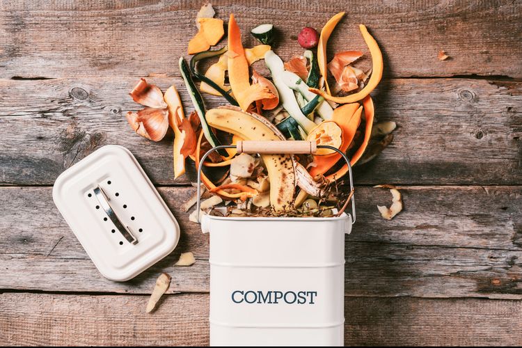 Ilustrasi sisa makanan dijadikan kompos. Cara ini bermanfaat untuk mengurangi sampah makanan. 