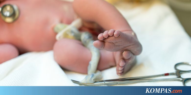 Mayat Bayi Ditemukan di Sungai Langkai, Masih Terlilit Tali Pusar