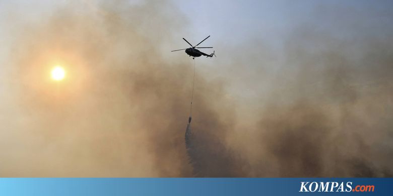 Kebakaran Hutan dan Lahan, Apa Dampak dan Upaya Pencegahannya?