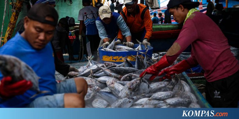 Nge-Tweet Soal Impor Ikan Asin, Tengku Zulkarnain Disemprot Susi Pudjiastuti - Kompas.com - KOMPAS.com