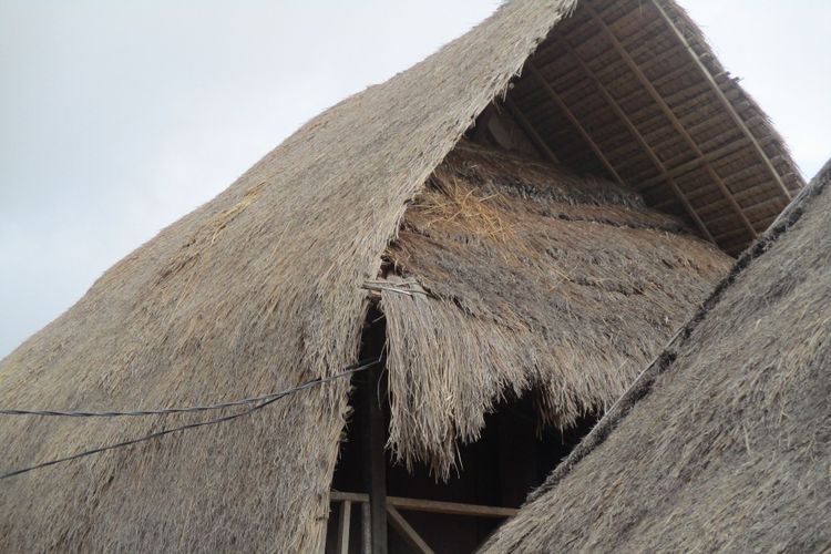 atap rumah Desa Sade