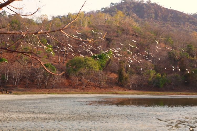 Kolam Susuk, Belu, Atambua, Nusa Tenggara Timur. Foto: Pesona Indonesia