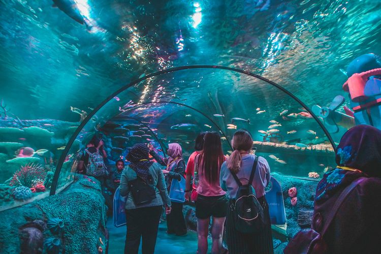 Sea Life menjadi wahana untuk mengenal kehidupan bawah laut dan konservasinya.