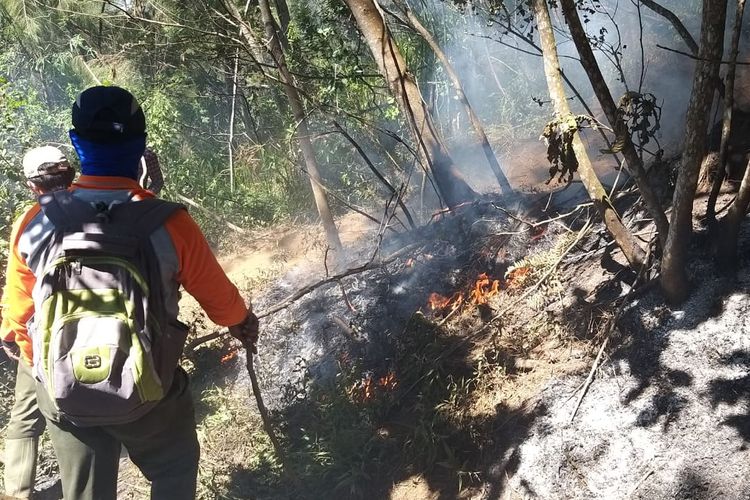 Upaya Penanganan Kebakaran Hutan Gunung Panderman
