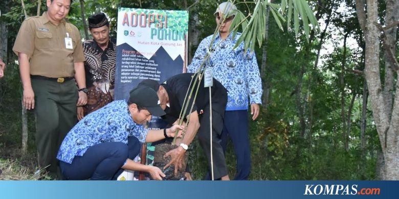 Ratusan Hektare Hutan Trenggalek Akan Ditanami Bambu
