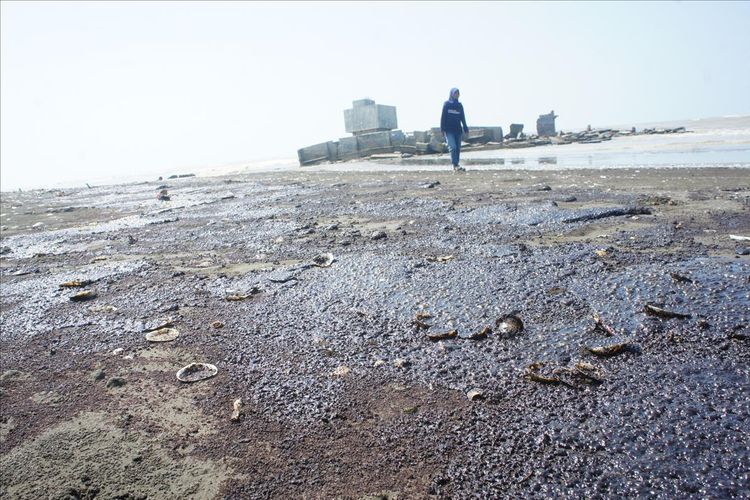 Pantai Pisangan, salah satu pantai dari lima wisata pantai di Karawang yang terdampak oil spill atau tumpahan minyak Pertamina.
