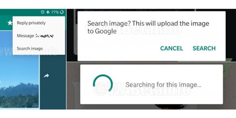 Tangkapan layar dari fitur reverse image search di WhatsApp versi beta.
