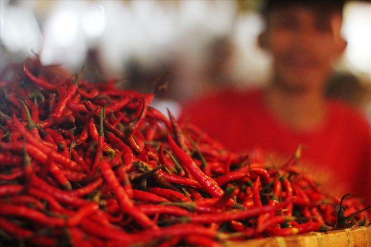 Sejak dua minggu terakhir harga komoditi cabai di sejumlah pasar tradisional di Kabupaten Cianjur, Jawa Barat melonjak drastis. Harganya saat ini dikisaran Rp100 -120 ribu per kilogram.