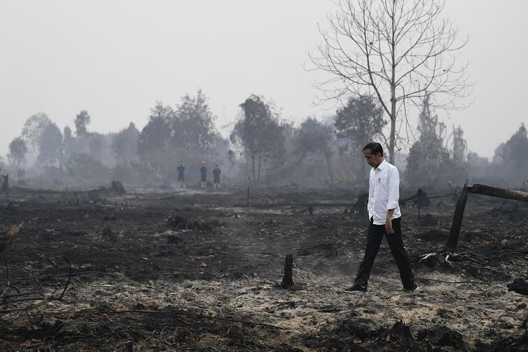 Presiden Joko Widodo meninjau penanganan kebakaran lahan di Desa Merbau, Kecamatan Bunut, Pelalawan, Riau, Selasa (17/9/2019). ANTARA FOTO/Puspa Perwitasari/aww.