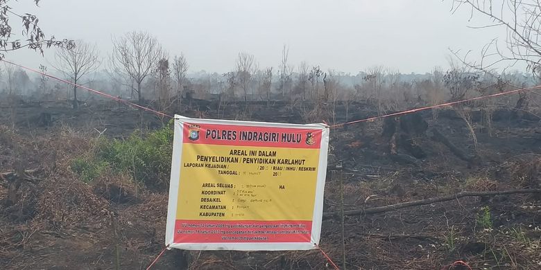 Lahan yang terbakar di Desa Sungai Guntung Hilir, Kecamatan Rengat, Kabupaten Indragiri Hulu, Riau, disegel oleh aparat kepolisian sebagai bentuk upaya penyelidikan penyebab kebakaran, Rabu (20/3/2019).