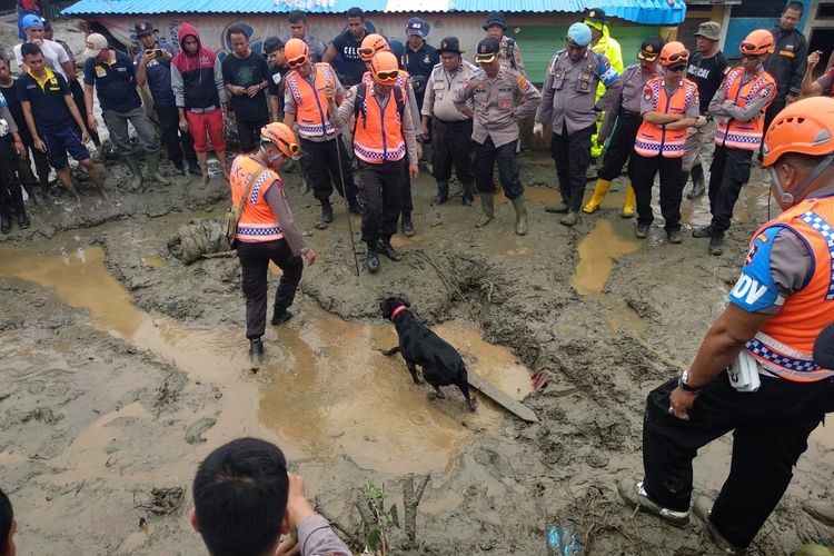 Anjing pelacak polisi saat melakukan pencarian terhadap para korban banjir bandang Jayapura. 