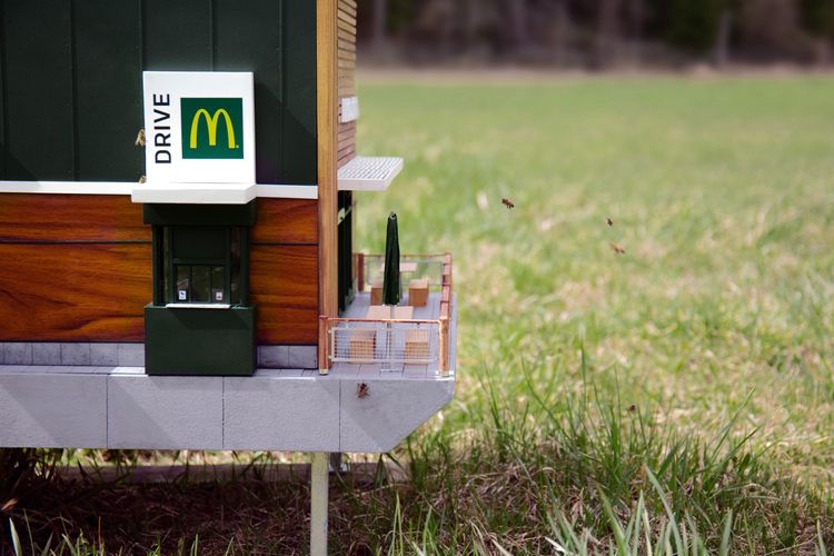 McHive, gerai McDonalds terkecil di dunia yang dikhususkan untuk lebah, Swedia.