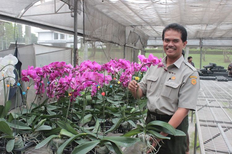 Direktur Jenderal (Dirjen) Hortikultura Suwandi optimistis pada ekspor bunga krisan karena tanaman hias Indonesia memiliki daya saing yang tinggi di pasar dunia. 
