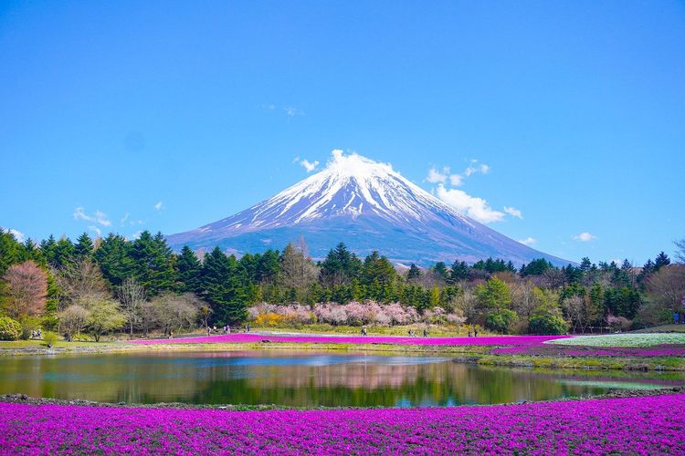 Pemandangan Gunung Fuji dari danau indah. 