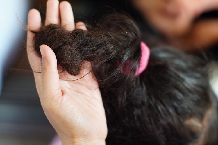 Salah satu anak yang akan menjalani pemotongan rambut gembel, Kayang Ayuningtiyas Nugroho (tengah), Menunjukkan rambut gembelnya di rumah Tua Adat Ki Sumanto, di kawasan Dieng, Jawa Tengah, Sabtu (3/8/2019). 