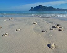 Yoyo Sekongkang, Surga Tersembunyi untuk Surfing di Sumbawa