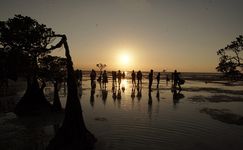 Dibuat Jatuh Cinta oleh Pesona Pantai Walakiri Sumba