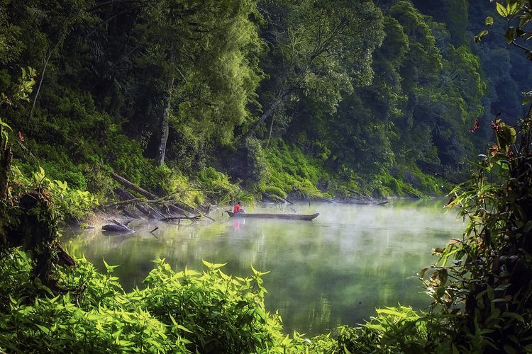 Menyusuri Danau Tertinggi di Asia Tenggara, Gunung Tujuh ...