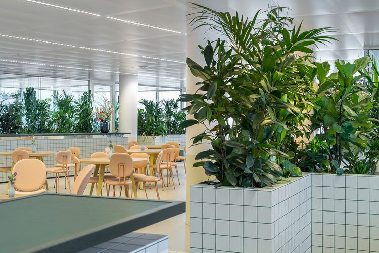 Kantor unik ini sejatinya merupakan kantor pengembang properti bernama Synchroon.