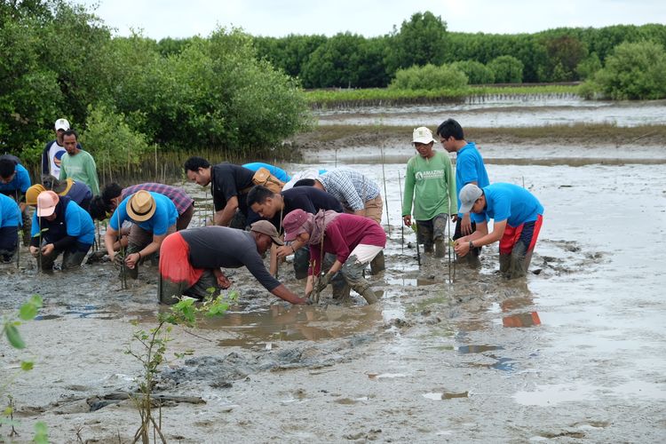Komunitas PK-139 LPDP Dipamartani berupaya memberikan kontribusi dalam bentuk pembangunan MCK, pelayanan kesehatan masyarat serta penanaman mangrove di Desa Pantai Bahagia, Kecamatan Muara Gembong, Bekasi (27/4/2019).