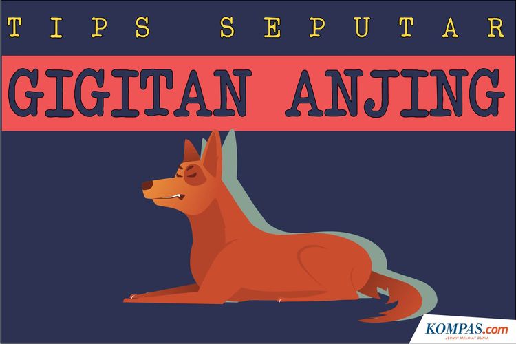 Infografik: Tips Seputar Gigitan Anjing
