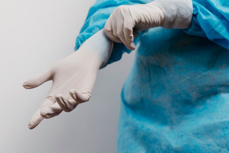 Jepang Akan Uji Coba Transplantasi Ginjal Hewan ke Manusia untuk Pertama Kali