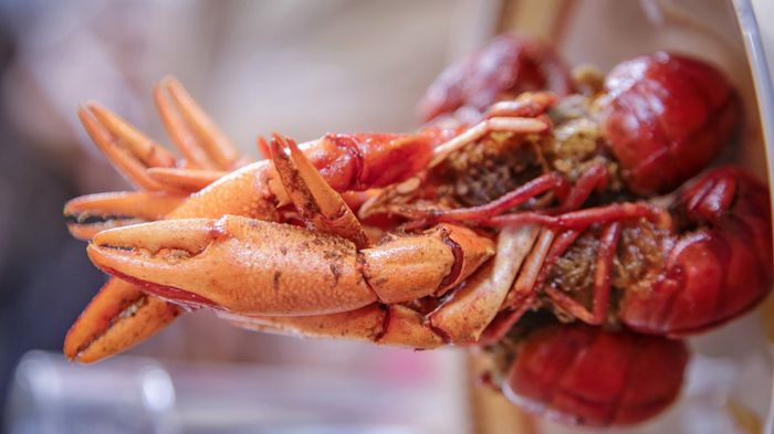 Mencoba Udang Selingkuh, Hidangan Andalan Papua dari Lembah Baliem