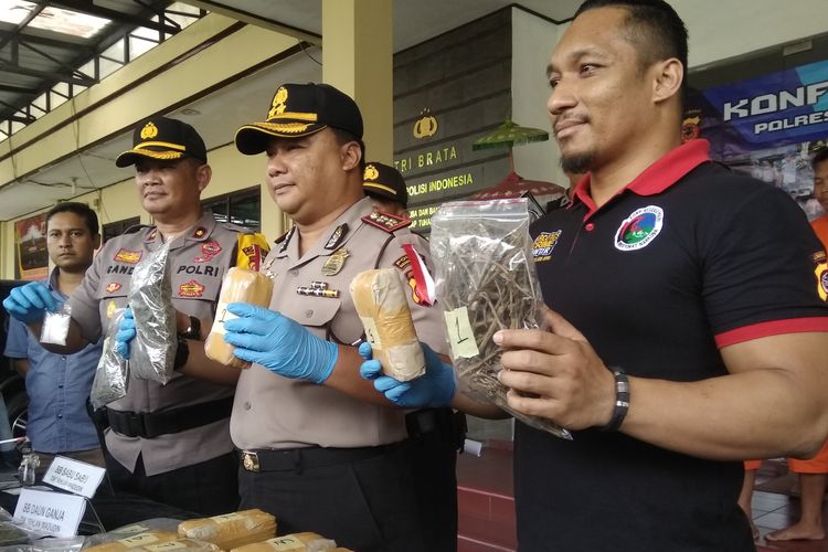 Kapolres Tasikmalaya Kota AKBP Febry Maruf dan Kasat Narkoba AKP Hamzah Badaru, menunjukkan barang bukti ganja seberat 5 kilogram dari bandar modus tempel yang ditangkap, Kamis (14/3/2019).