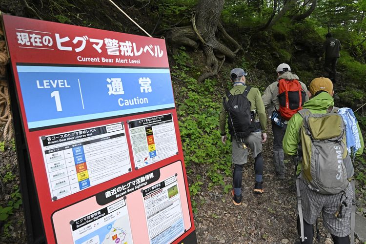 Bertemu Beruang di Gunung, 4 Pendaki Jepang Diselamatkan Pakai Helikopter