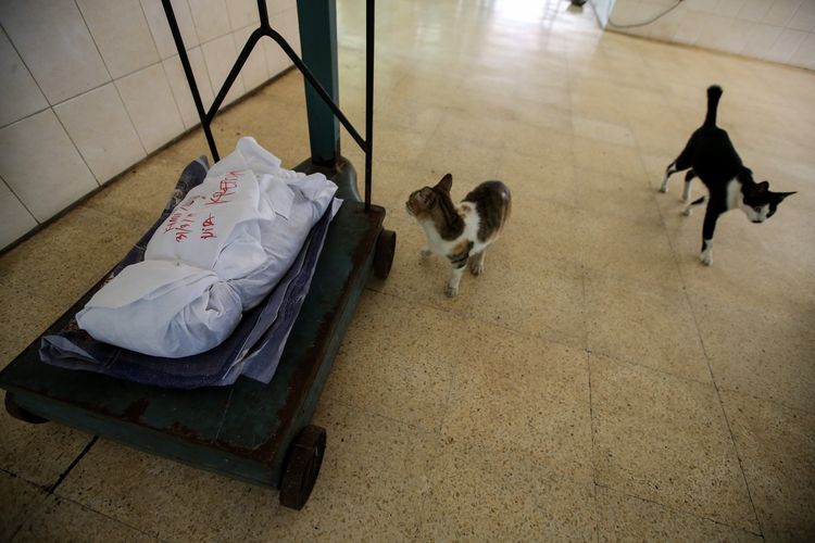 Jasad anjing dibungkus kain menunggu proses kremasi di Pondok Pengayom Satwa, Jakarta Selatan, Selasa (2/4/2019). Selain krematorium di tempat ini terdapat sekitar 700 makam hewan peliharaan serta shelter hewan.
