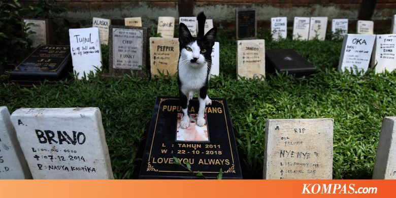 Jalan-jalan ke Ragunan, Sempatkan Waktu Mengunjungi Taman Makam Satwa