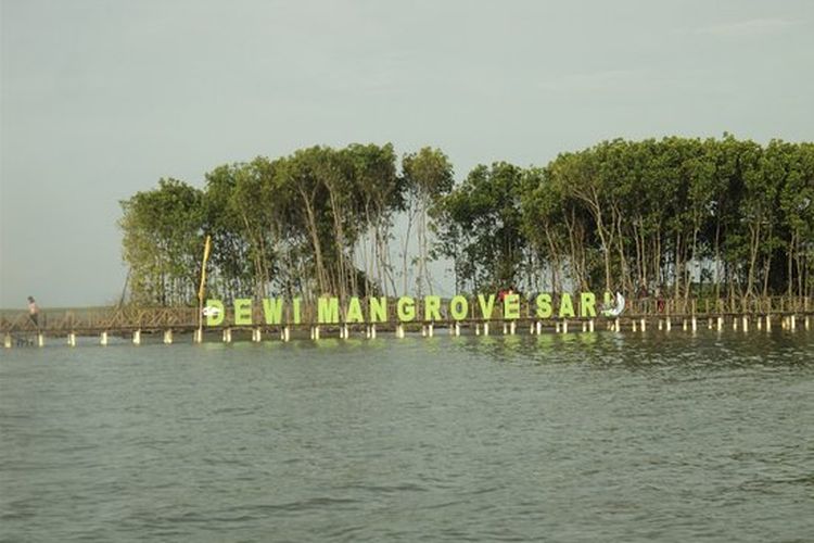 5 Tempat Wisata Di Sekitar Brebes Yang Bisa Dikunjungi Saat