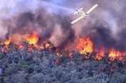 Satgas Karhutla Riau Berjibaku Padamkan Api di Lahan Gambut 4 Hektar