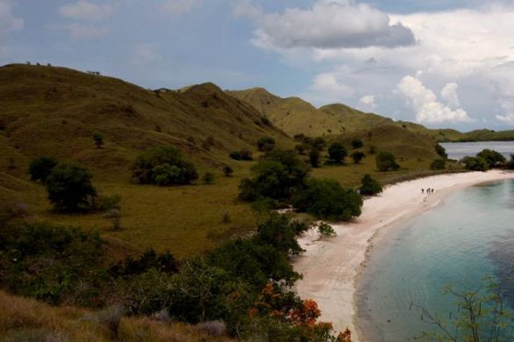 Pemandangan Pink Beach di kawasan Taman Nasional Komodo, Manggarai Barat, Nusa Tenggara Timur, Selasa (30/11/2010).