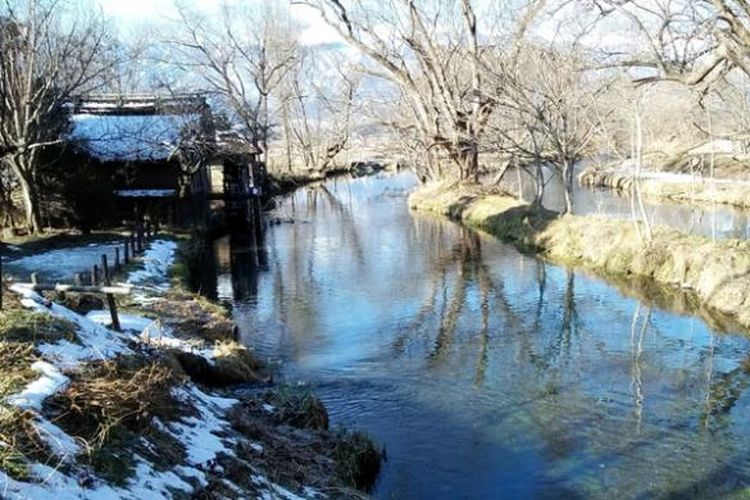 Kincir air ikonik dan kejernihan Sungai Tadegawa yang membelah Perkebunan Wasabi Daio, Nagano, Jepang.