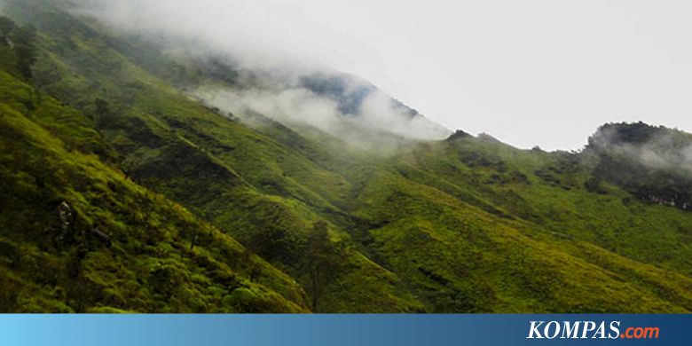 Duduk Perkara Cerita Viral Perempuan Pendaki Gunung Rinjani Disetubuhi Saat Hipotermia...