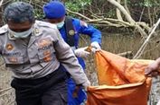 Mayat Perempuan Tanpa Kepala dan Tangan Ditemukan di Hutan Mangrove