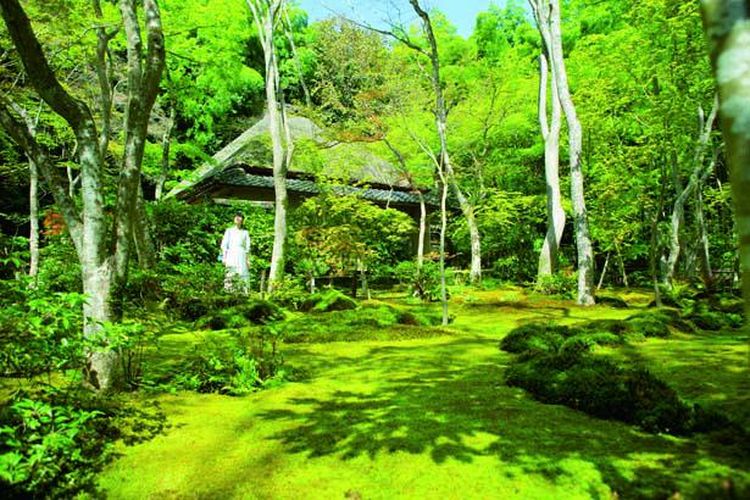 Taman lumut di tengah kuil terdiri dari lebih dari 20 jenis lumut.