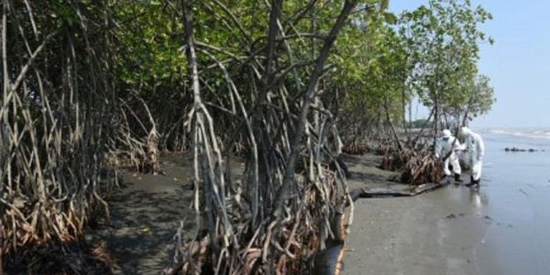 Dua pekerja Oil Spill Combat Team (OSCT) memeriksa Oil Boom di sepanjang Pantai Sedari, Karawang, Jawa Barat. 