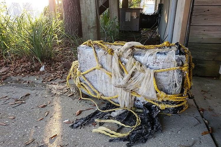Sebuah paket berisi ganja dan  kokain ditemukan di Orange Beach, Alabama, AS, Selasa (21/5/2019). (Orange Beach Police via Daily Mail)