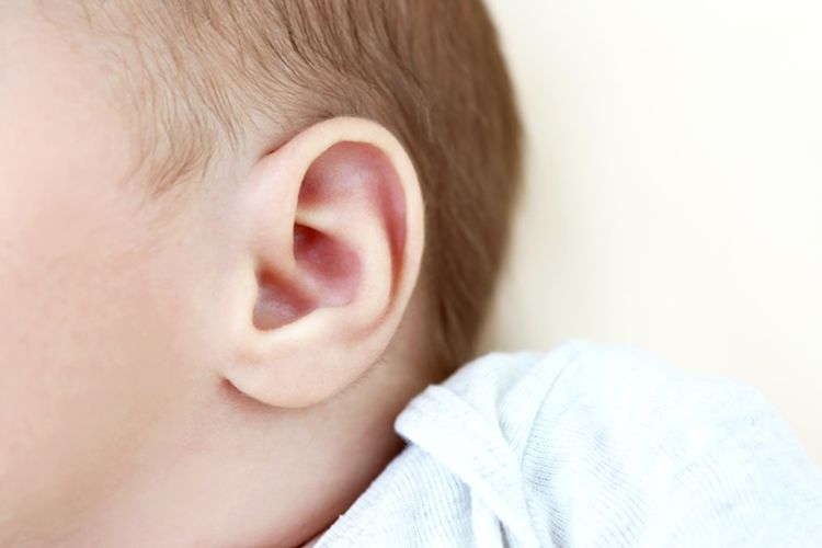 Ilustrasi telinga anak