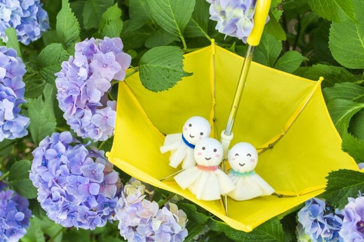 Prakiraan Cuaca Jepang 25 Juni - 1 Juli 2026: Tokyo dan Osaka Musim Hujan, Hokkaido Cuaca Cerah
