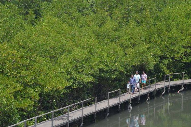 Ekowisata Mangrove Penajam adalah salah satu destinasi yang menarik untuk dikunjungi saat berkunjung ke Kalimantan Timur.
