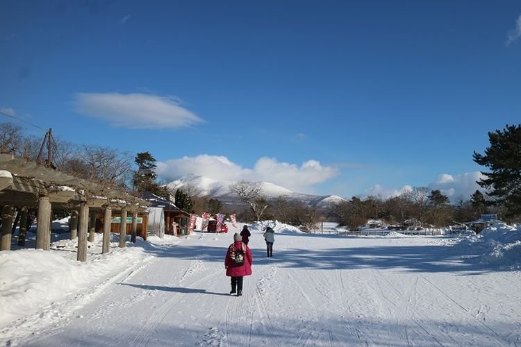 Wisatawan menikmati suasana Taman Nasional Onuma Quasi, Kota Onuma, Prefektur Hokkaido, Jepang, Kamis (14/2/2019). Taman Nasional Onuma Quasi memiliki banyak aktivitas untuk dapat menikmati jalan santai di sekitar danau, bersepeda, kemping, dan juga menaiki perahu sampan di sekitar pulau. Di sana, wisatawan dapat memancing ikan Wakasagi dengan membuat lubang di lantai es layaknya orang Eskimo. 