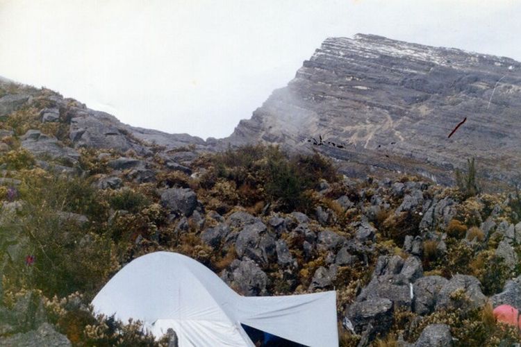 Lanskap Gunung Mandala, Pegunungan Bintang, Papua. Foto diambil saat Ekspedisi Mandala Wanadri tahun 1991.